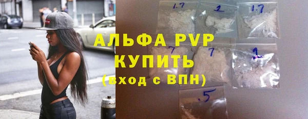 сатива Баксан